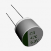 Solid Polymer Electrolytic Capacitor (189)